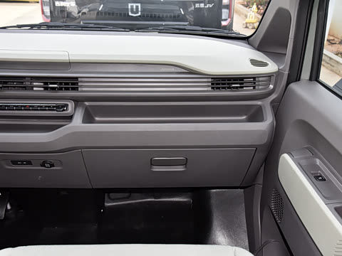 2025 Farizon V6E Image 14